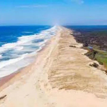 Saint Amon * Moliets-et-Maa