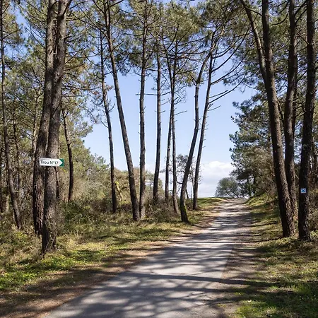 Saint Amon Moliets-et-Maa