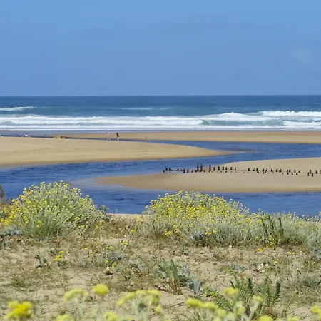 アパート Saint Amon *