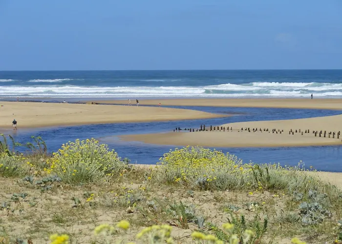 Apartment Saint Amon *